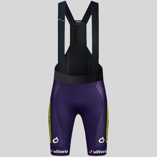 Bekleidung Herren Gobik Wilier Vittoria 2025 Absolute Print K10 tragerhose
