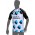 AG2R LA MONDIALE 2014 Kurzarmtrikot(kurzer Reißverschluss) Radsport-Profi-Team