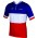 FRANCAISE DES JEUX(FDJ) Französischer Meister 2014/2015 Kurzarmtrikot(kurzer Reißverschluss)-B'TWIN Radsport-Profi-Team