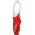 Jartazi 2005 Hose(Trägerhose)-Radsport-Profi-Team