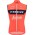 TREK-SEGAFREDO 2023 training edition Fahrradweste-Radsport-Profi-Team